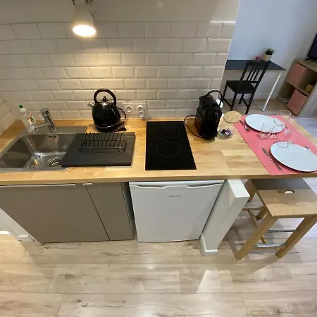 Apartment Place De Metz, Hyper-centre Grenoble, 25 M2