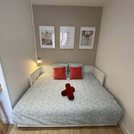 Appartement Place De Metz, Hyper-centre Grenoble, 25 M2 *